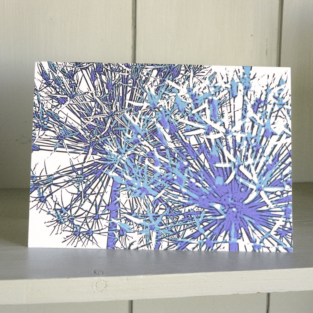 Allium in the Blue