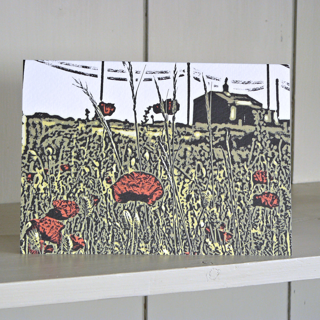Poppies at the Ness